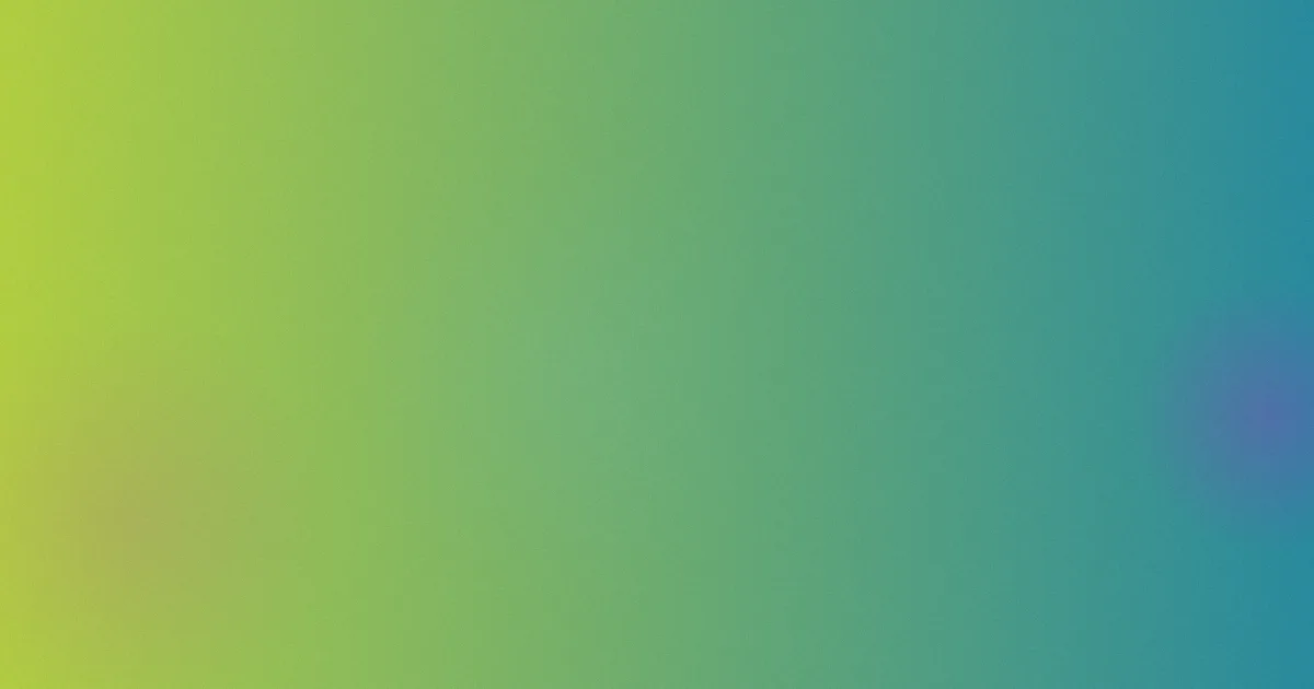 日日爱夜夜操避坑：深度解析